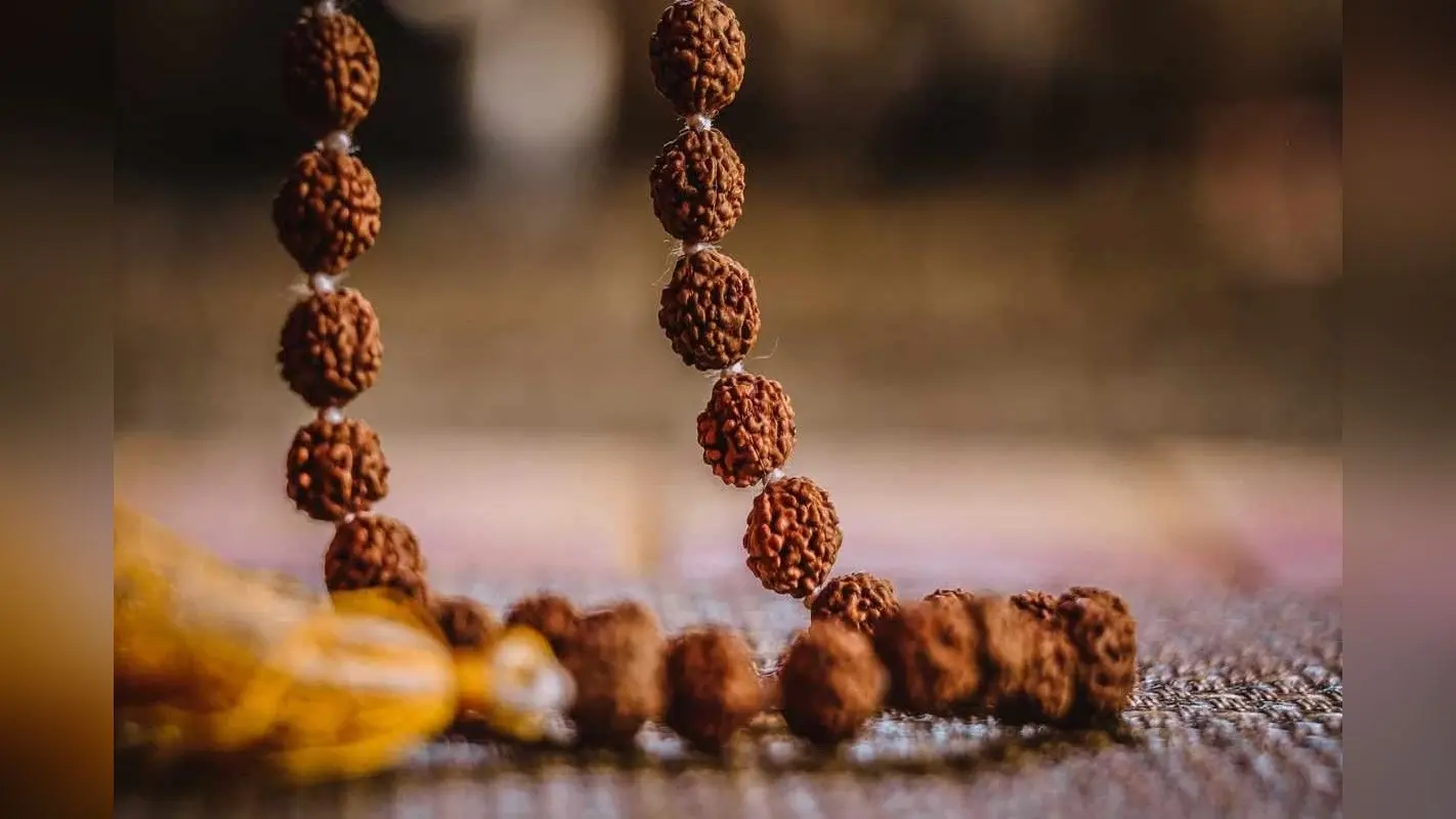 Rudraksha Benefits : क्या आयुर्वेद में रुद्राक्ष को चिकित्सीय गुणों का भंडार माना जाता है? जानिए कैसे करते हैं इस्तेमाल