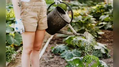 Summer Plant Care Tips: गर्मियों के दिनों में इस तरह रखें अपने पौधों का ख्याल, जानें क्या है तरीका