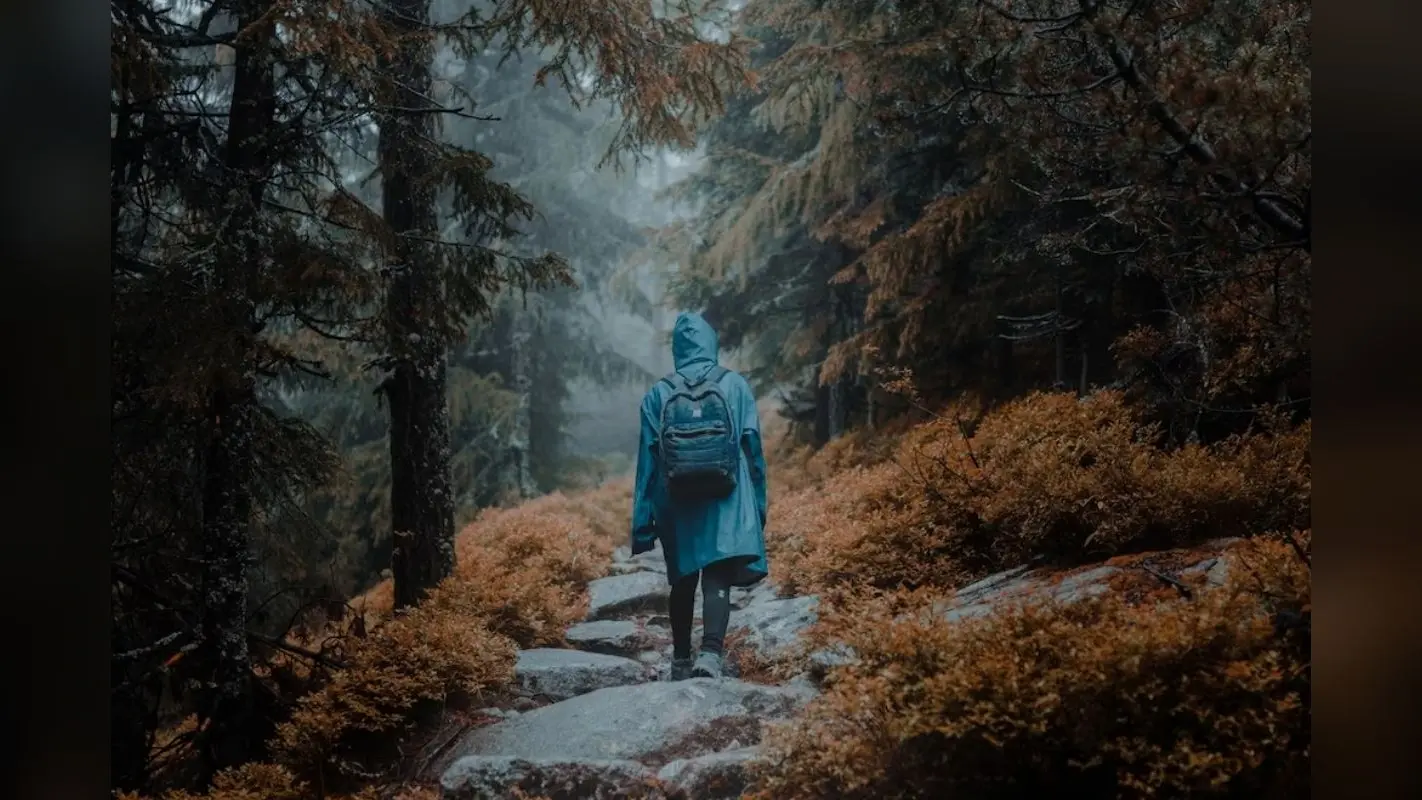 Travel Tips For Monsoon Trip: मानसून ट्रिप प्लान करते समय गलती से भी न भूले ये चीजें