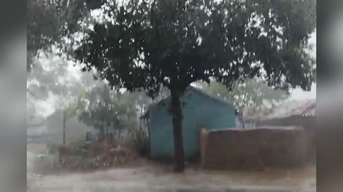 Jharkhand Weather: झारखंड के इन जिलों में भारी बारिश की चेतावनी, रांची के कई हिस्सों में भी 5 जुलाई तक वर्षा का अनुमान