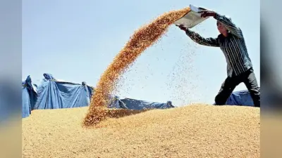 महंगाई पर सरकार का वार : गेहूं की स्टॉक लिमिट निर्धारित, रडार पर जमाखोर