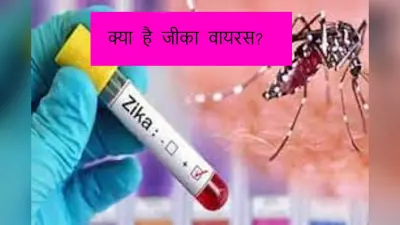 Zika virus: ज़ीका वायरस के कारण, लक्षण और उपचार को जाने