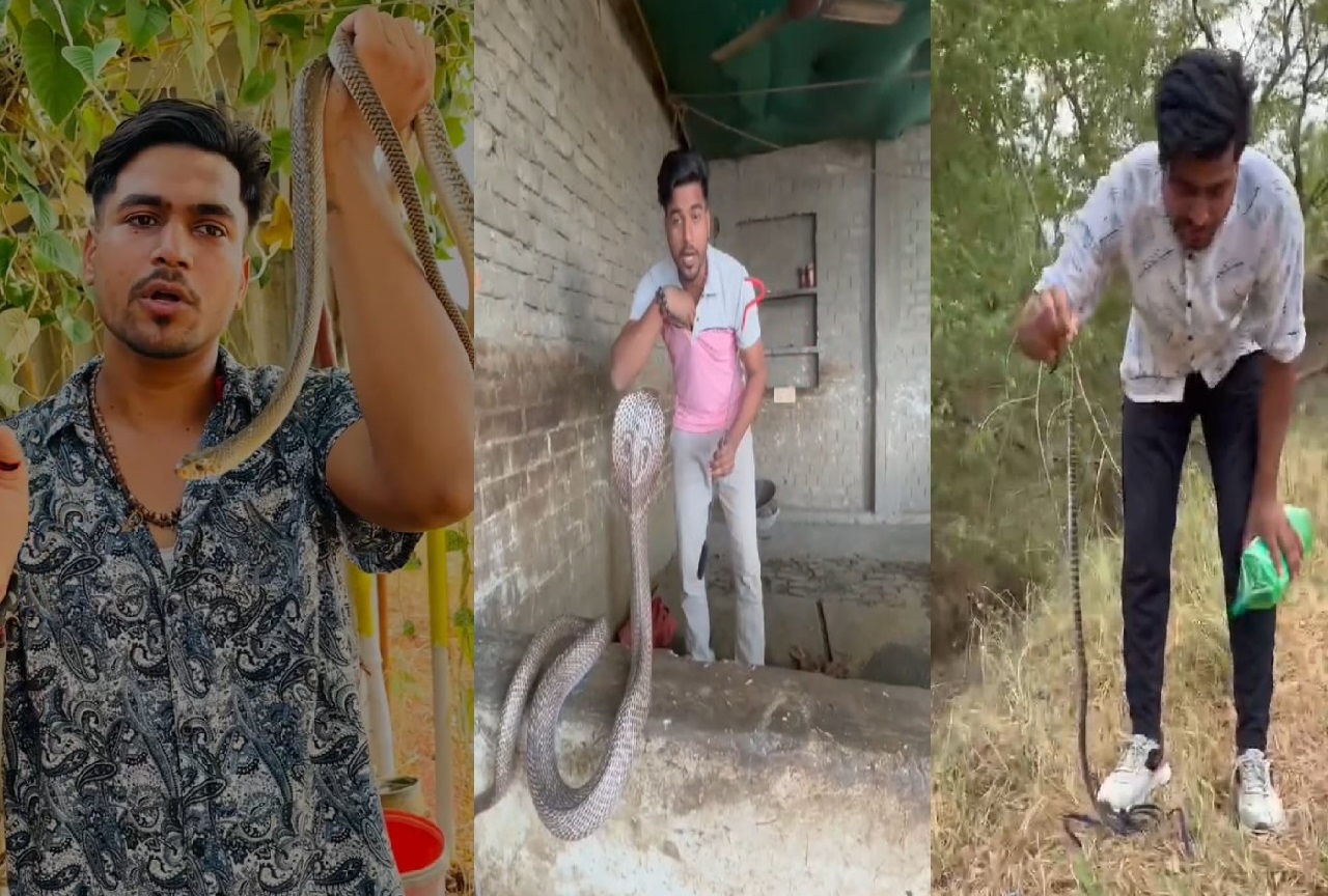 Buxar News: जान जोखिम में डाल सांपों को बचाते हैं हरिओम, दो बार डंस चुका है कोबरा