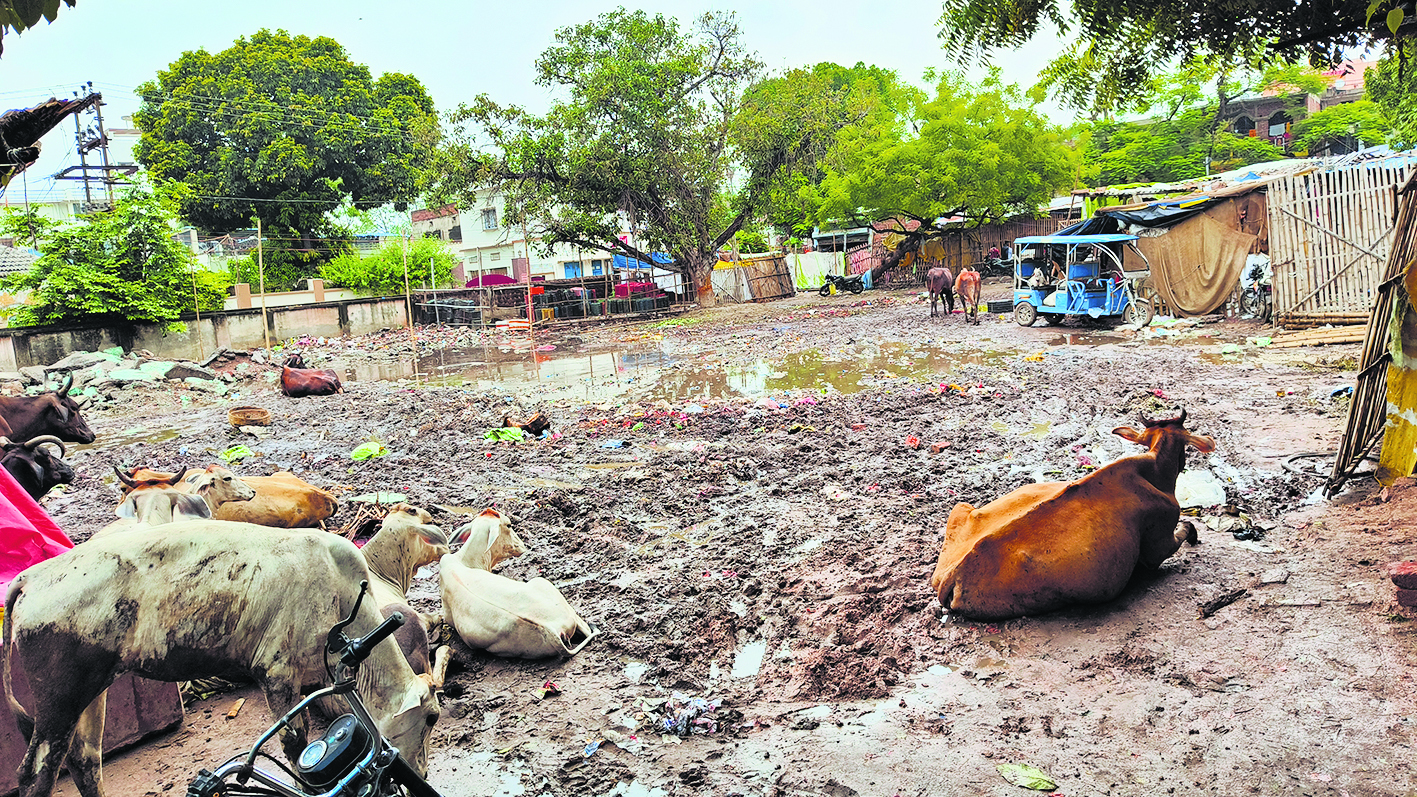 महात्मा गांधी बड़ा बाजार नगर परिषद को लाखों राजस्व देने के बाद भी है उपेक्षित