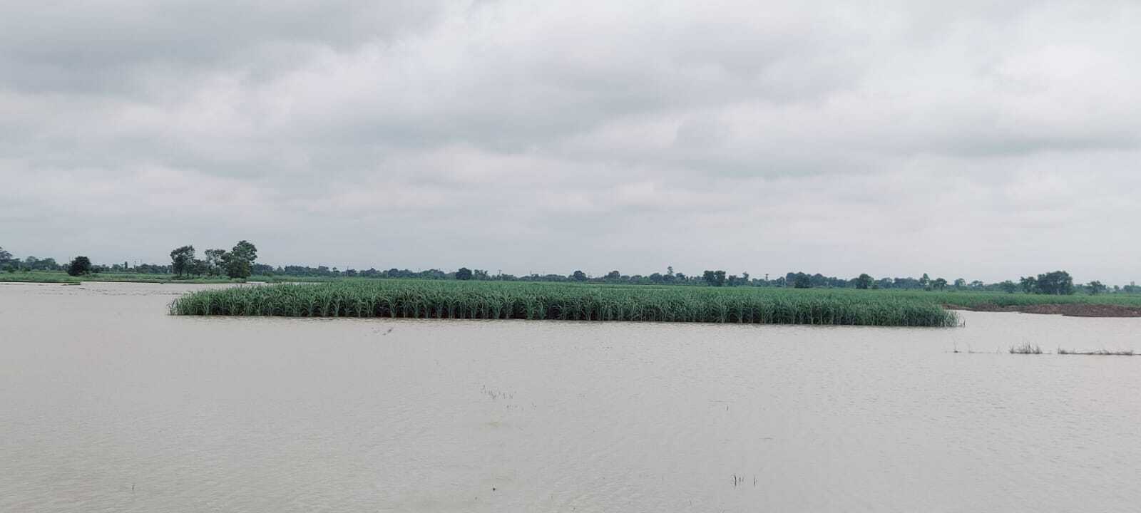 त्रिवेणी कैनाल का उत्तरी बांध कई जगह ध्वस्त, सिकटा नदी का पश्चिमी तटबंध भी टूटा