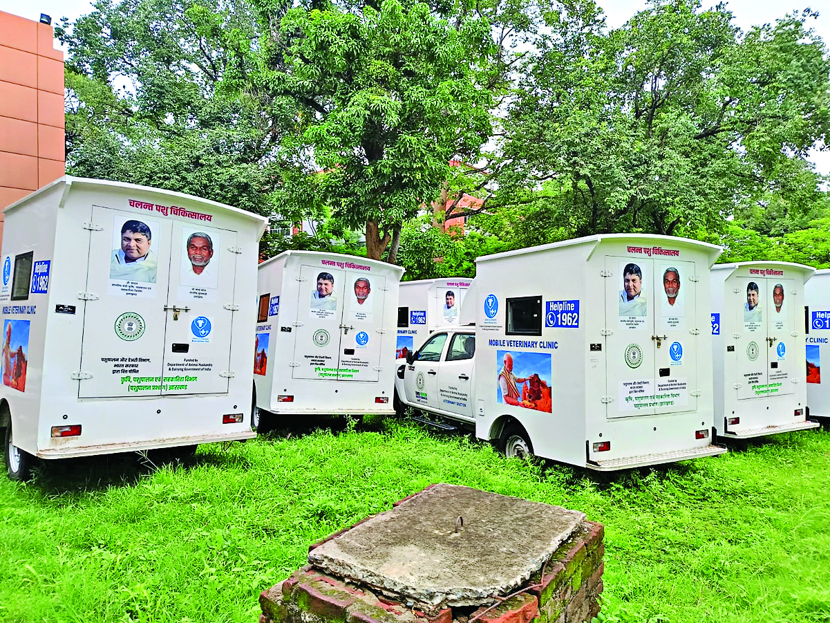 Animal Husbandry Department News : फोटो के चक्कर में मोबाइल वेटनरी क्लीनिक पर ब्रेक