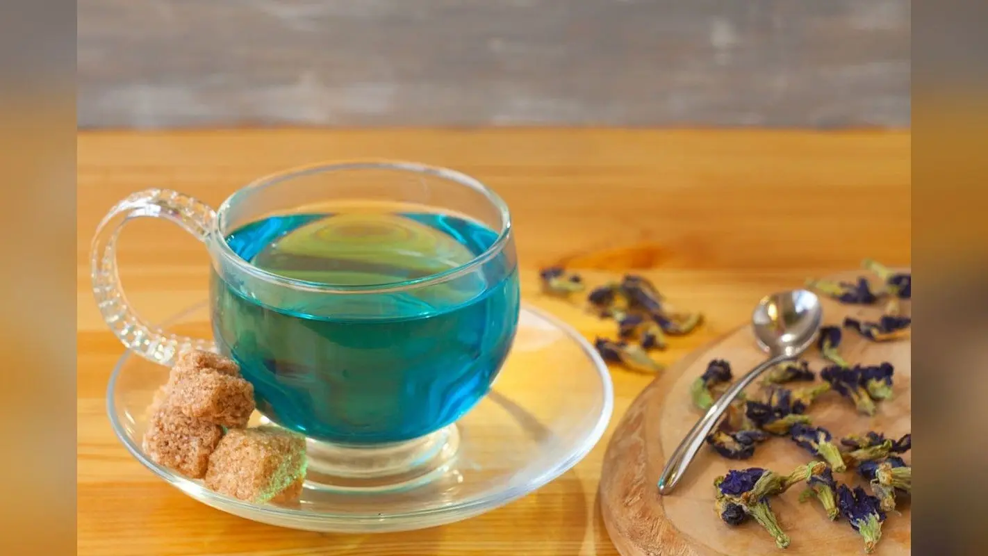 Aparajita Flower Tea: सुबह में सभी पिएं अपराजिता के फूल की चाय, सेहत को मिलेंगे 6 सबसे बड़े फायदे