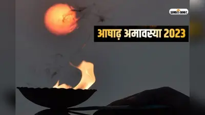 Ashadha Amavasya 2024: आषाढ़ अमावस्या पर दुर्लभ ध्रुव योग और शिववास योग का संयोग, आज राशि अनुसार दान करने पर होगा भाग्योदय