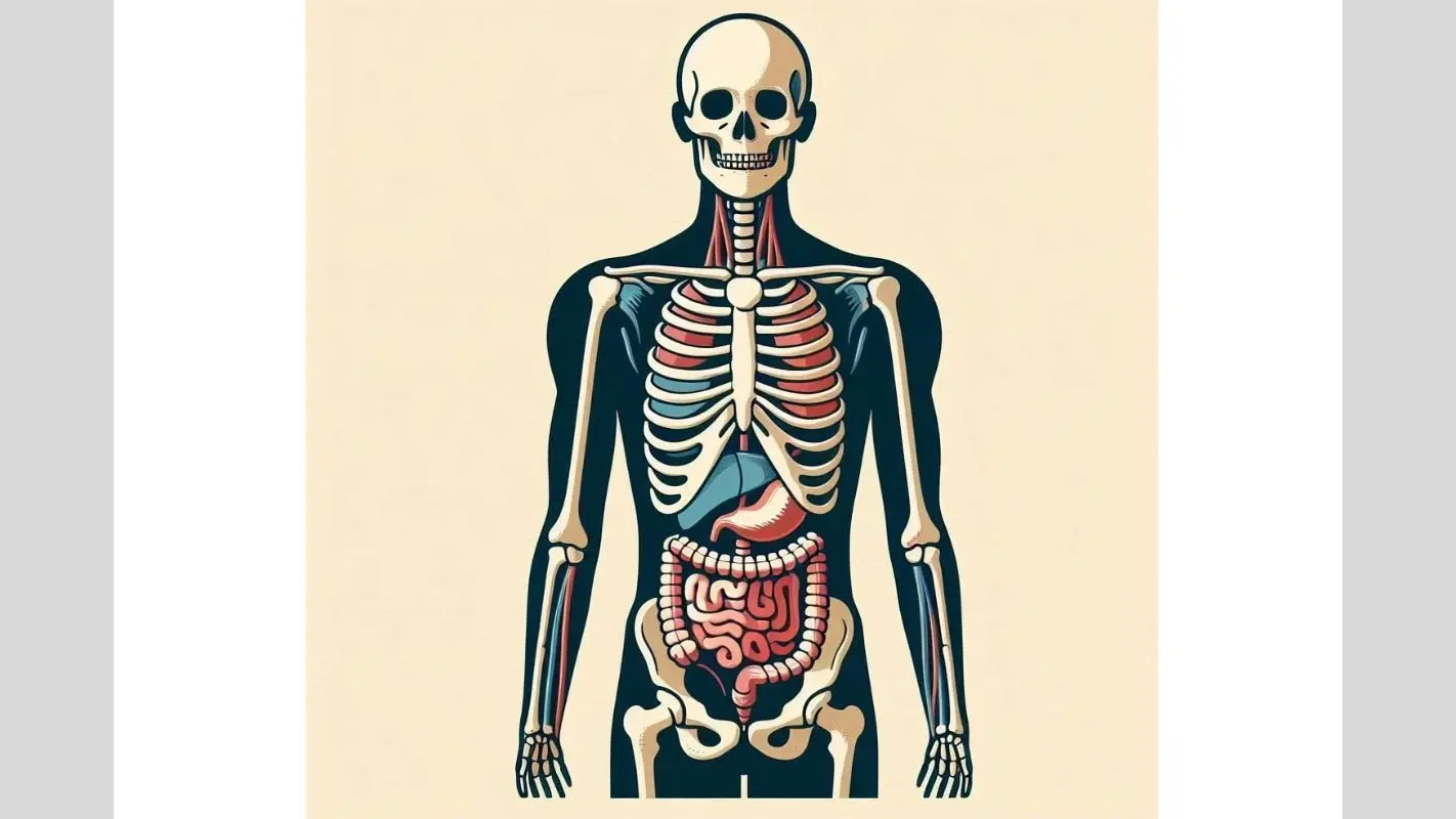 Body detox: प्राकृतिक तरीकों से अपने शरीर को डेटॉक्सीफाय करें