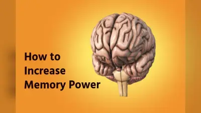 Boost Brain Fruits: याददाश्त बढ़ाने के लिए खाएं ये 5 सूखे मेवे, दवाई की तरह करेगा काम!