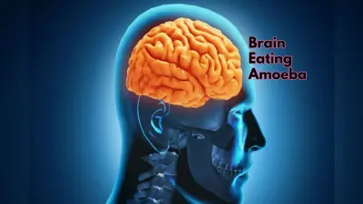Brain Eating Amoeba: अमीबा कैसे दिमाग में प्रवेश करता है? डॉक्टर से जानिए कैसे इससे बचा जा सकता है