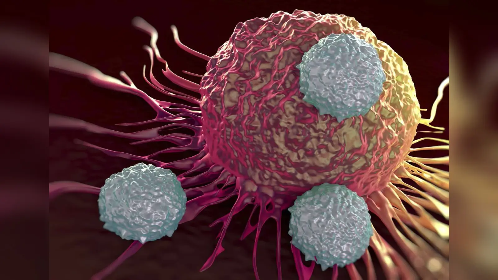 Cancer Disease : कैंसर का खतरा पुरुषों और महिलाओं में से किसे है अधिक, यह जानिए