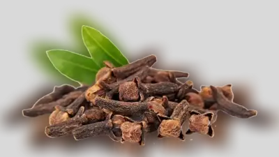 Clove Benefits : लौंग खाने से पुरुषों को मिल सकते हैं यह लाभ, जानिए इससे जुड़े कुछ फैक्ट्स.