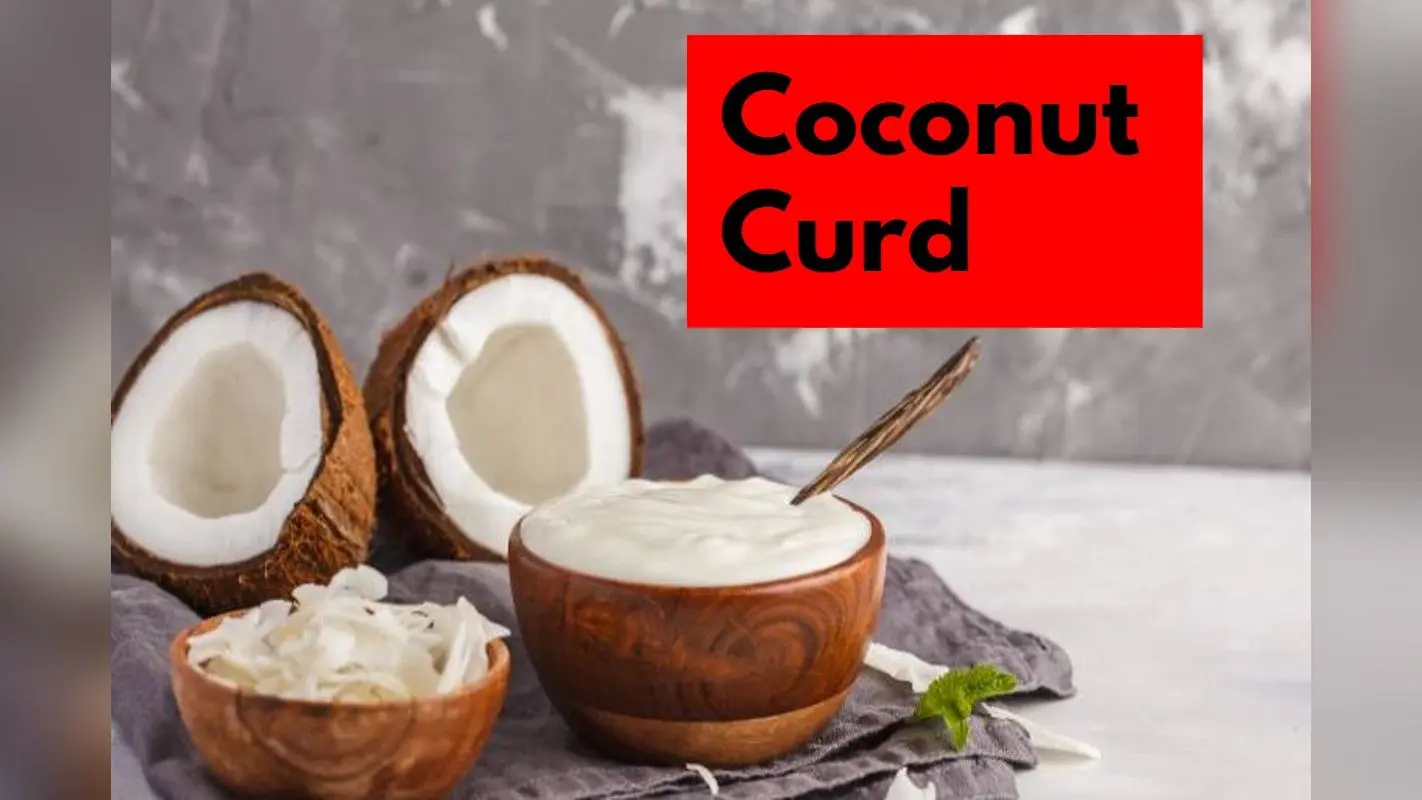 Coconut Curd: नारियल का दही खाने के 5 सबसे बड़े फायदे