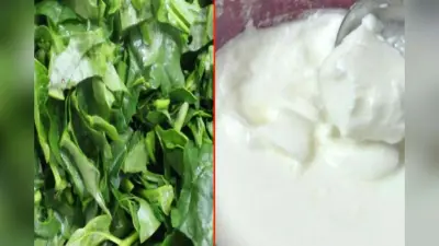 Curd and Greens in Sawan: सावन में क्यों नहीं खाना चाहिए दही और साग, जानिए इसके पीछे का वैज्ञानिक और धार्मिक कारण