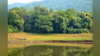 चांडिल बांधडीह निवासी ढाढू सिंह के समर्थन में आया दलमा बुरू सेंदरा दिसुआ समिति, कहा-बदले की भावना से वन कर्मियों ने किया है कार्रवाई
