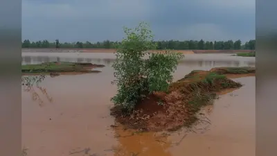 Jharkhand News: लातेहार के बनियो डैम में डूबने से दो नाबालिगों की मौत, बुझ गए दो घरों के चिराग
