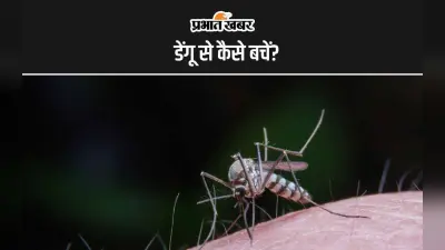 Jamshedpur News: डेंगू का लार्वा मिलने पर विजया गार्डन सोसाइटी सहित 25 लोगों को दिया नोटिस