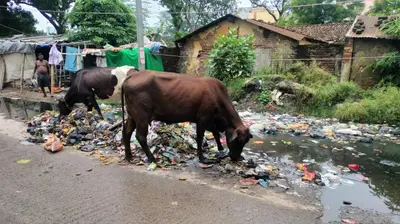 बरसात पूर्व नगर निगम के तैयारी की खुली पोल, ऐसा कोई सड़क, गली बचा नहीं जहां जलजमाव हुआ नहीं
