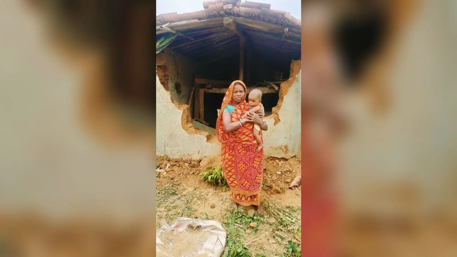हाथियों ने टुंडी में चार घरों को किया क्षतिग्रस्त
