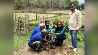 सब्जी लोडेड ट्रक पलटा, बचे चालक-खलासी