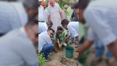 पौधारोपण कर बढ़ायी जा सकती है हरियाली : अजीत
