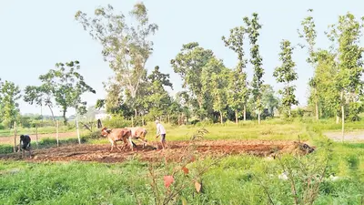 बरसे मेघ, गांवों में खेती की तैयारी में जुटे कृषक