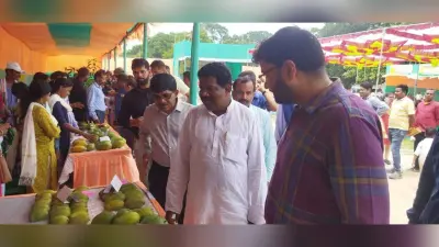 खूंटी में आम प्रोसेसिंग प्लांट लगना जरूरी