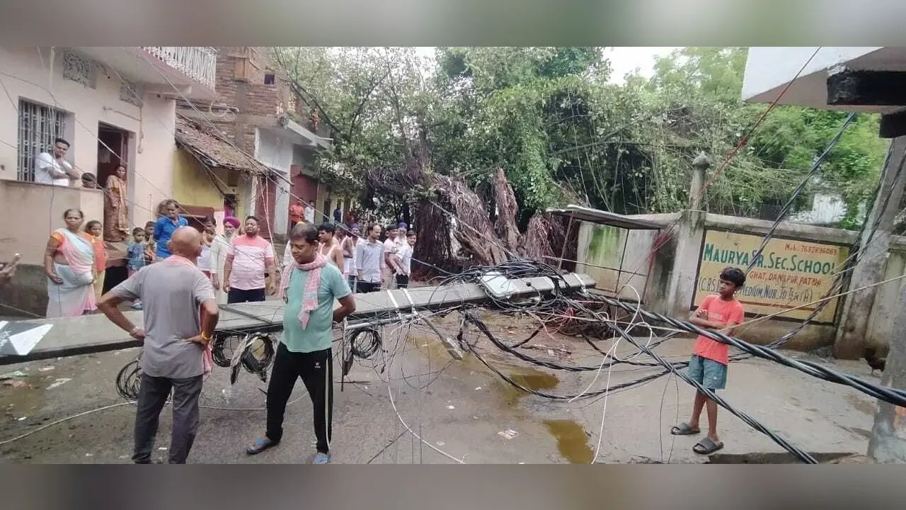 बारिश में बरगद का पेड़ गिरा चार पोल टूटे, 24 घंटे बाधित रही बिजली