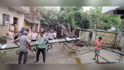 बारिश में बरगद का पेड़ गिरा चार पोल टूटे, 24 घंटे बाधित रही बिजली