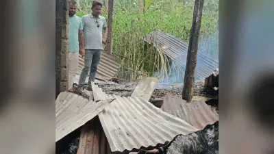 गोहाल में लगी आग, झुलसने से चार मवेशियों की मौत