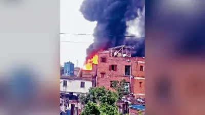 प्लास्टिक कारखाने में लगी भीषण आग, दहशत में दूसरे तल से कूदा युवक, जख्मी