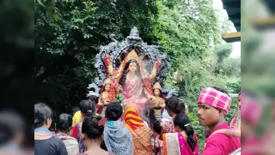 मां मनसा की प्रतिमा का किया गया विसर्जन