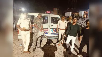 विशालकाय अजगर को किया रेस्क्यू