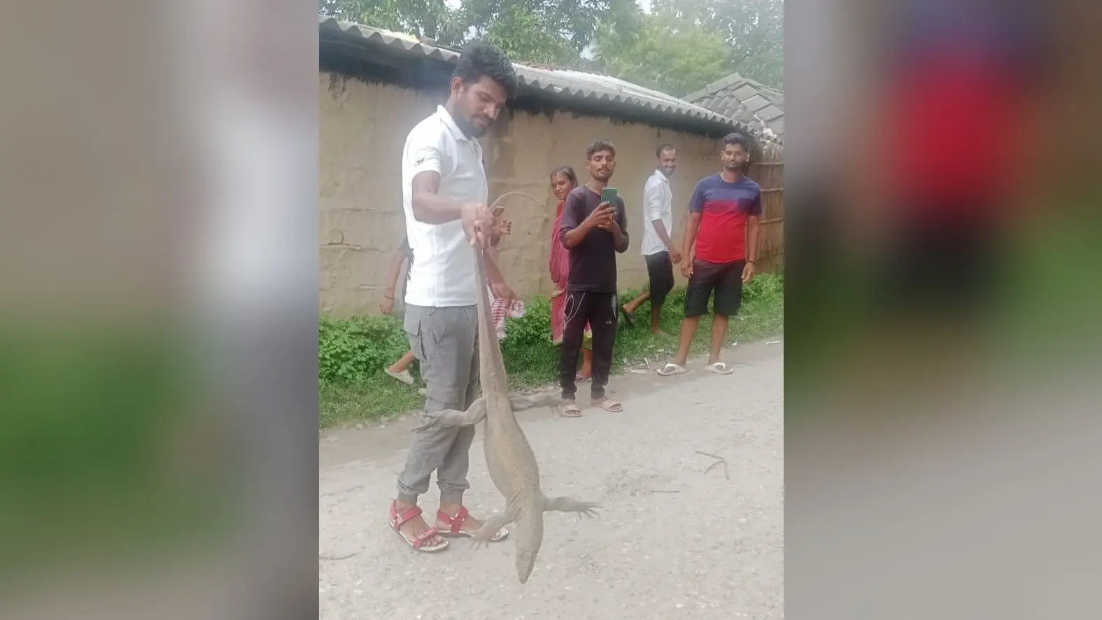 घर के अंदर गोहटी को देख परिजनों में मची भगदड़, वन कर्मियों ने किया रेस्क्यू