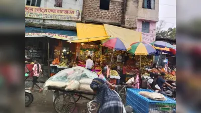 नगर परिषद से मिला था लाइसेंस, अब फुटपाथ पर ही बना ली स्थायी दुकानें