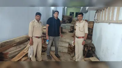 वन विभाग ने मारा छापा, चार हाइवा व 30 ट्रैक्टर अवैध लकड़ी जब्त