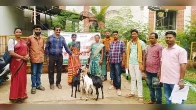 मुख्यमंत्री पशुधन योजना के तहत 11 यूनिट पशुधन वितरित
