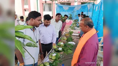 बुढ़मू में आम की लगी प्रदर्शनी, 25 किसानों को प्रमाण पत्र