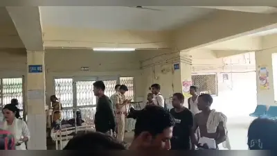 सवारी गाड़ी पलटने से शादी समारोह में जा रहे 15 लोग जख्मी, सात रेफर