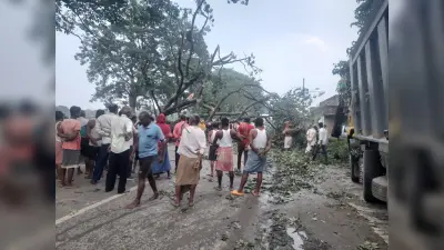 एनएच पर पेड़ गिरने से तीन घंटे तक यातायात बाधित