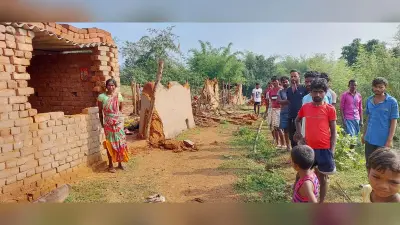 बरवाअड्डा के तीन गांवों में हाथियों के झुंड ने मचाया उत्पात, चार घर ढाहे