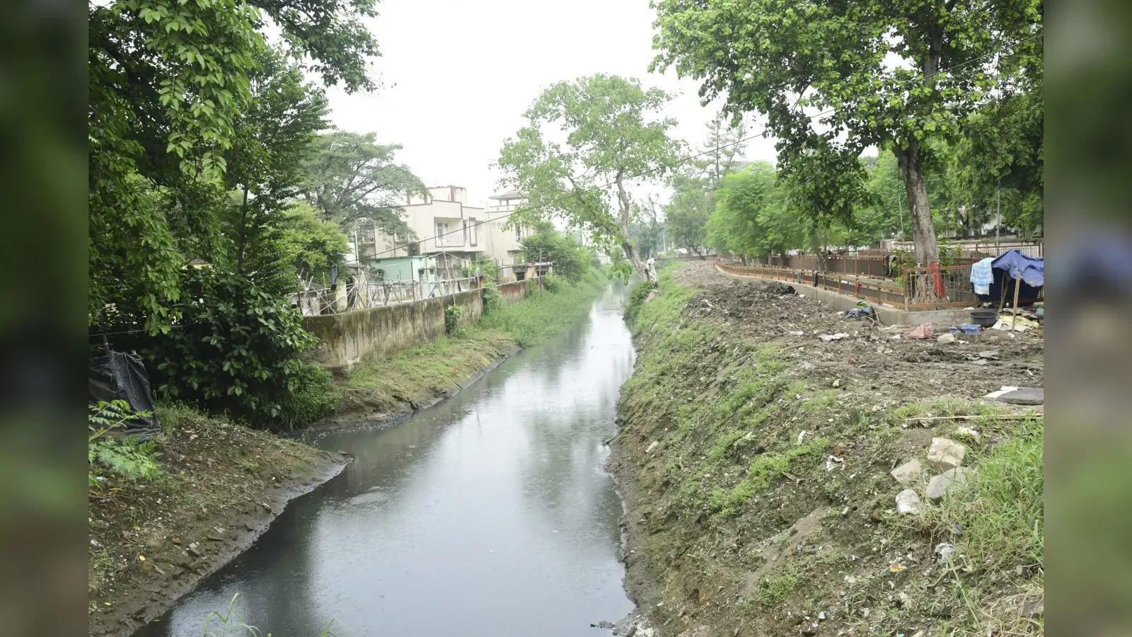 सर्पेंटाइन नाले की दोनों ओर बनेगी हरितपट्टी, लगेंगे पौधे