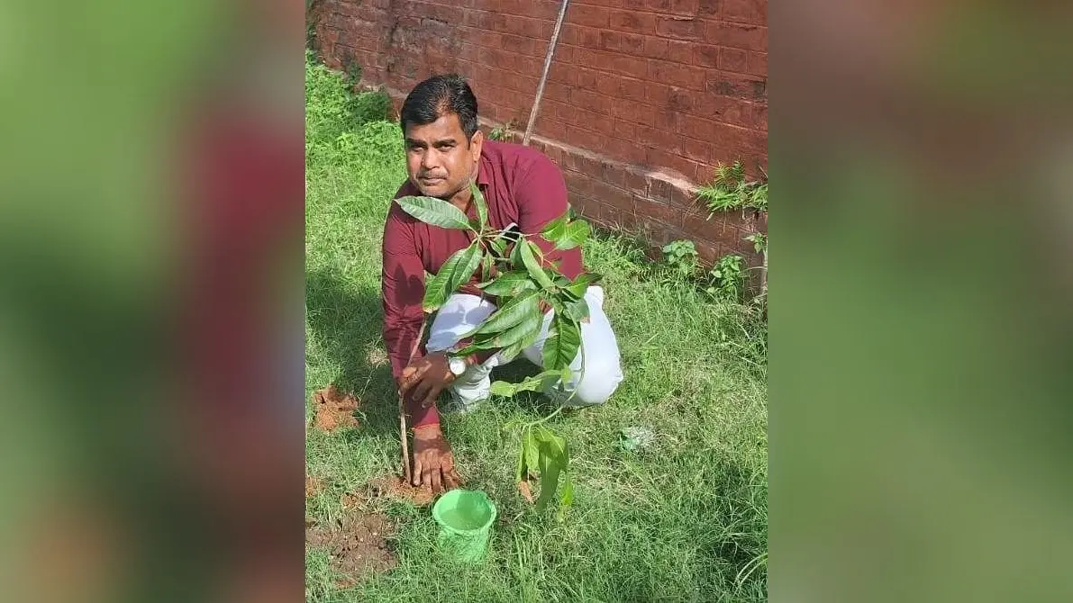 मानव समेत सभी जीवों को जीवित रखने के लिए पौधे लगाना जरूरी