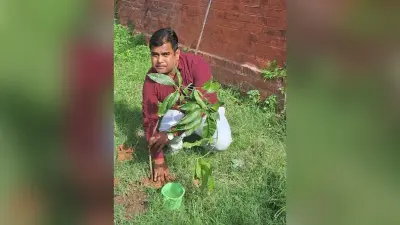 मानव समेत सभी जीवों को जीवित रखने के लिए पौधे लगाना जरूरी