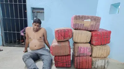 छापेमारी में131 किलोग्राम गांजा जब्त, मुखिया गिरफ्तार