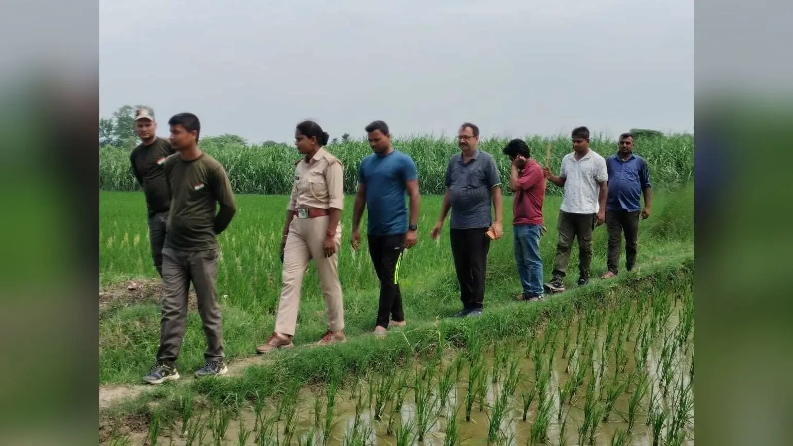 चौथे दिन भी बाघ को ले सजग रहे वन कर्मी, सरेह में निगरानी जारी