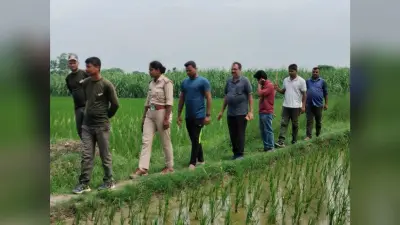 चौथे दिन भी बाघ को ले सजग रहे वन कर्मी, सरेह में निगरानी जारी