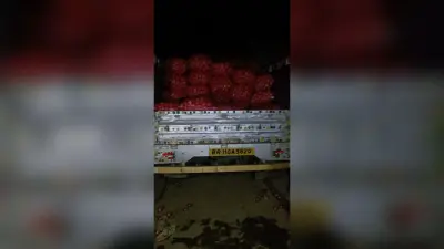 54 बोरा प्याज सहित पिकअप जब्त
