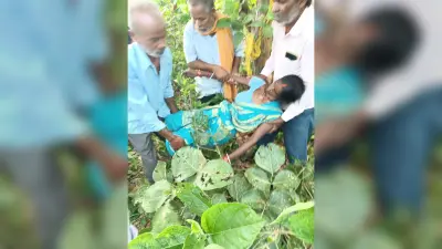 जंगल में पेड़ की डाली से लटकती मिली महिला की लाश, पुलिस ने शव को पोस्टमार्टम के लिए भेजा